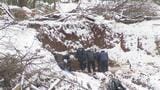 男女2人の身元特定へ 鶴岡市の土砂崩れ現場では遺留品捜索 | 山形のニュース│TUYテレビユー山形