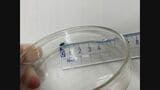 小学校の給食に約8ミリのゴキブリ 児童が福神漬けの容器に混入しているのを見つける 同じ小学校では今月ハエも…三重 | 名古屋・愛知・岐阜・三重のニュース【CBC news】 | CBC web