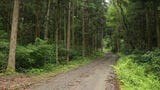 「馬が徘徊している」「家の近くに茶色の馬がいた」飼育していた馬1頭が逃げる 北海道原産の「どさんこ」警察などが捜索 佐賀県基山町 | 福岡のニュース|RKB NEWS|RKB毎日放送