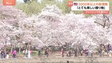 ワシントンで桜満開 日米友好の象徴 日本から贈られたソメイヨシノなど3000本超の桜 ポトマック川周辺で花見客楽しむ 来年以降も植樹へ|TBS NEWS DIG