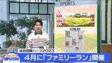 仙台国際ハーフ関連イベント「ファミリーラン」4月開催　来月から親子の参加者募集へ　|　宮城のニュース│tbc NEWS│tbc東北放送