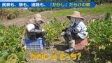 “おばあちゃん”と“かかし”がそっくりすぎる!「かかしの郷」を宣言した地区 遊び心はついに“歌”まで | 山形のニュース│TUYテレビユー山形