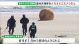 直径1.5m 鉄球のような“謎の漂着物”が海岸に 調べてみたら中は空洞…爆発の恐れなし＝浜松市|TBS NEWS DIG