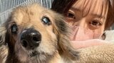【元乃木坂46・阪口珠美】「より深く学びたい！」「無理なく老犬介護していけるように」　愛犬の死から『愛玩動物介護士アドバンス』資格を取得|TBS NEWS DIG