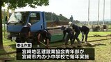 運動会シーズンを前に 宮崎市の小学校のグラウンドで建設業協会のメンバーが奉仕作業|TBS NEWS DIG