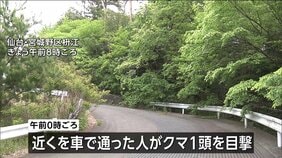 仙台市内でクマ1頭目撃 体長約1.5m　付近には小学校やこども園も… 警察が注意呼びかけ　宮城|TBS NEWS DIG