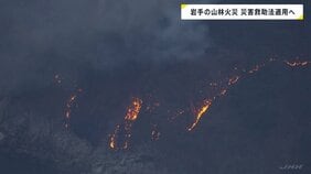 岩手・大槌町山林火災 災害救助法適用へ　避難所開設・食事提供などの費用を国と県が全額負担　2か所で発生した山林火災は2日目も鎮圧に至らず|TBS NEWS DIG