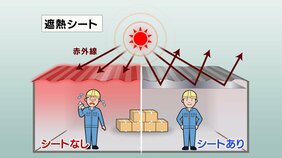 「涼しい！」異例の猛暑で市場拡大”遮熱シート”屋根の温度を30℃下げる効果も　企業への熱中症対策義務化も追い風に|TBS NEWS DIG