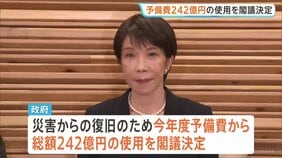 予備費242億円の使用を閣議決定　熊本地震　災害からの復旧を迅速に進めていくため政権幹部“週内にも「激甚災害」に指定する方針”|TBS NEWS DIG
