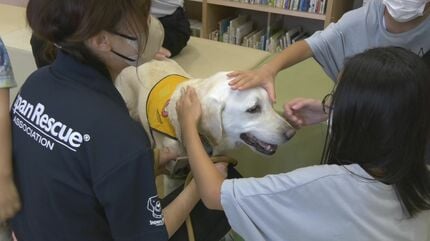 小児科診察室にワンちゃんがやってきた「セラピードッグ」が寄り添い