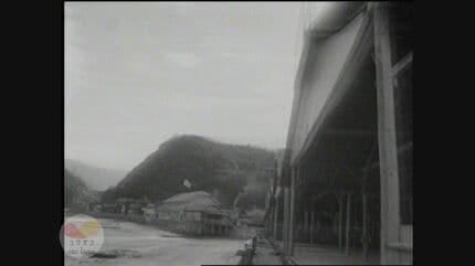 img_c54d413f82160a1b13532bbfd2