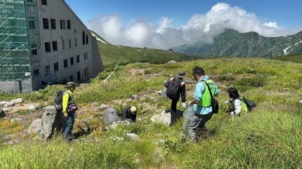 気温19度の別世界 雲上の立山で中学生が外来植物の除去活動 『山の日