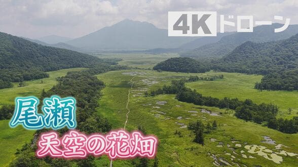 天空の湿原で絶品ステーキ丼!生鮮食品80kgを運ぶ歩荷(ぼっか)らが支える『夏の尾瀬』ならではの「朝もや」絶景【4Kドローン】~カメラマンの魅せられた風景~ | 新潟のニュース・天気|BSN NEWS|BSN新潟放送