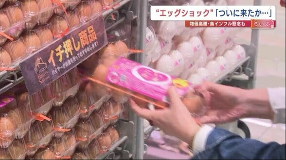 卵の値上げ幅「70円」おととしの“エッグショック”最高値345円に迫る クリスマスに向けて洋菓子店は「苦渋の決断」 | 熊本のニュース|RKK NEWS|RKK熊本放送