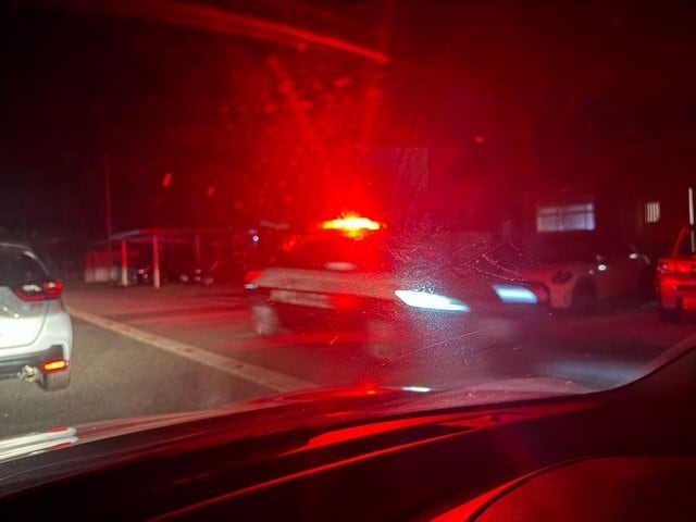 【速報】長井市市街地のクマ　中道一丁目に移動　住宅敷地内にいるとの通報　市と警察が対応中（山形）|TBS NEWS DIG