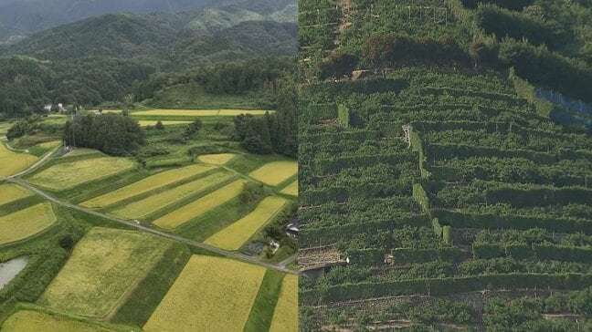 世界農業遺産 「島根県奥出雲地域」「和歌山県有田・下津地域」に認定書を授与 イタリア・ローマ|TBS NEWS DIG