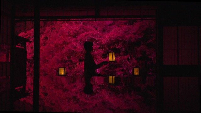 “逆さ紅葉” 非日常的な世界を演出…ライトアップの舞台裏 岐阜･山県市の｢東光寺｣【動画】|TBS NEWS DIG