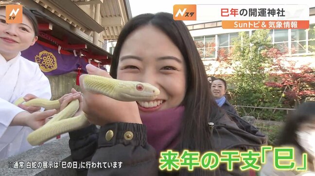 実はオススメ!「年末詣」【SUNトピ】|TBS NEWS DIG