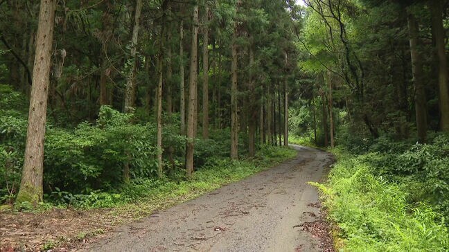 「馬が徘徊している」「家の近くに茶色の馬がいた」飼育していた馬1頭が逃げる　北海道原産の「どさんこ」警察などが捜索　佐賀県基山町|TBS NEWS DIG