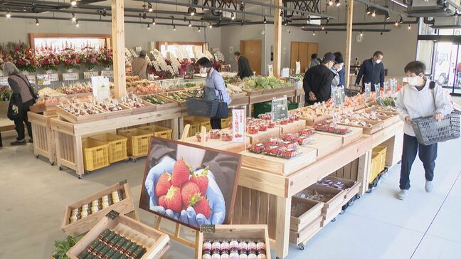 自社で“生産･商品化･販売” 観光農園運営の産地直売所 ｢山笑う里｣オープン 地元産の新鮮野菜にジャムや菓子など  愛知･美浜町|TBS NEWS DIG