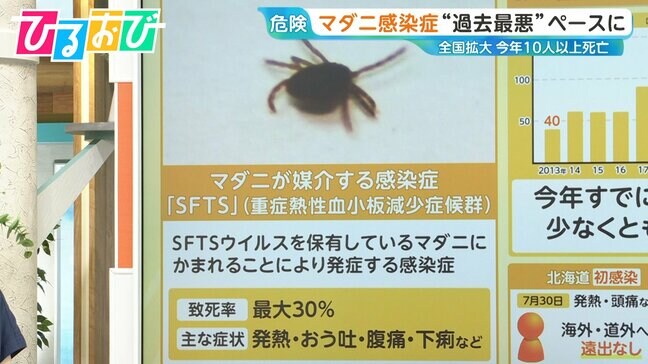 帰省先でも注意！「マダニ感染症」今年10人以上死亡“過去最悪”ペースに…対策は？【ひるおび】|TBS NEWS DIG