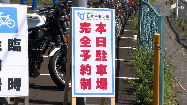 完全予約制の効果は…GW後半「日本平動物園」駐車場 “長年の課題”渋滞解消へ新たな取り組み=静岡市|TBS NEWS DIG