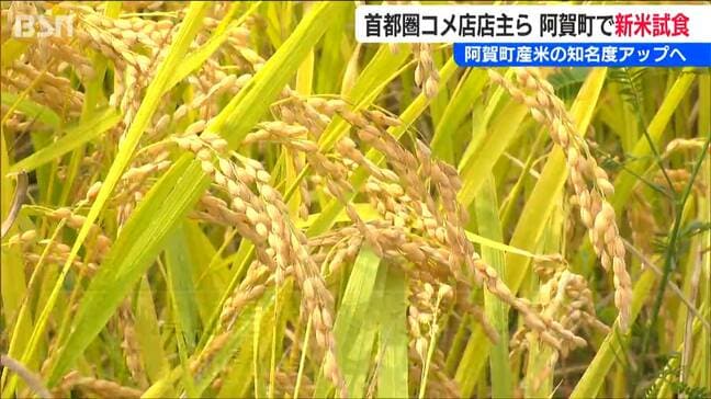 阿賀産米の知名度アップへ「首都圏の米穀店はアンテナショップのようなもの」お米マイスターを招き新米試食会　新潟県阿賀町|TBS NEWS DIG