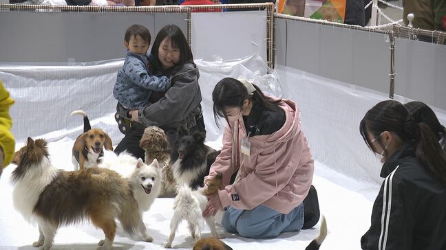 ３００種類の動物が集結　東北最大級のペットの祭典「ペットカーニバル」　福島・郡山|TBS NEWS DIG