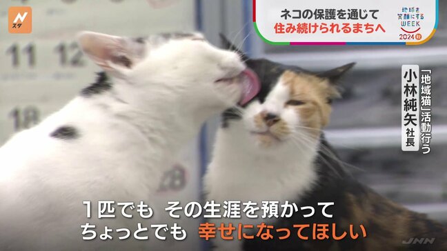 パソコン横にも、書類棚の上にも…職場で保護したネコ受け入れ　住み続けられる街へ|TBS NEWS DIG