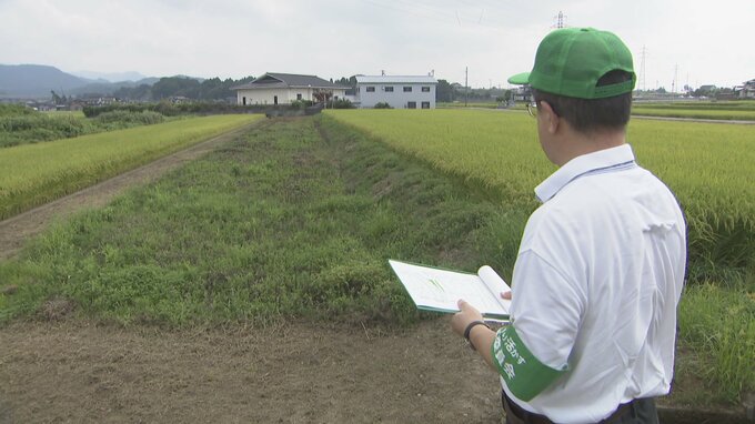雑草で覆われた”遊休農地”　市内で東京ドーム約1.2個分…農地パトロールで耕作状況を確認　政府はコメ増産へ遊休農地活用の方針　富山・魚津市　|　富山のニュース｜天気・防災｜チューリップテレビ