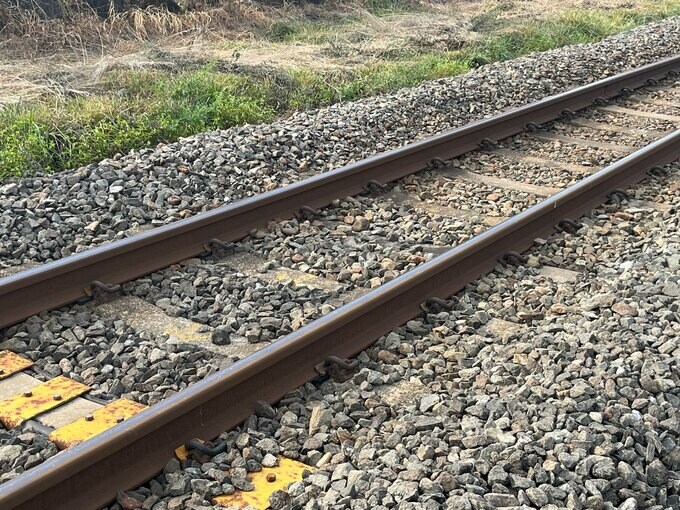 列車とカモシカ衝突　けが人なし　17分遅れで運転再開　JR磐越西線・会津若松～広田駅間　福島　|　福島のニュース│TUF