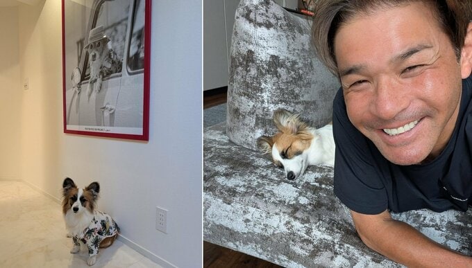 【 いぬ 】照英　愛犬パピコが愛犬テンのアロハシャツを着用「ジャストサイズ！」　ポスターとの2ショットにフォロワー「愛が受け継がれてますね」|TBS NEWS DIG