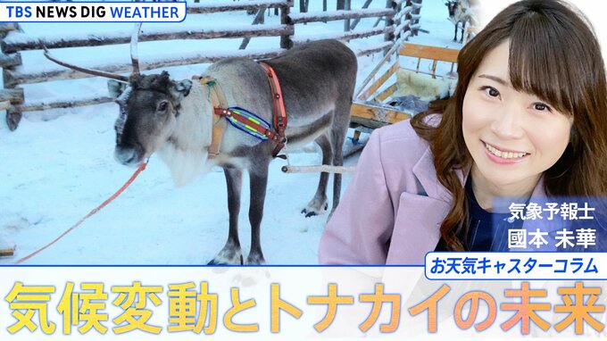 サンタクロースも困惑？！気候変動とトナカイの未来【國本未華のお天気コラム】|TBS NEWS DIG