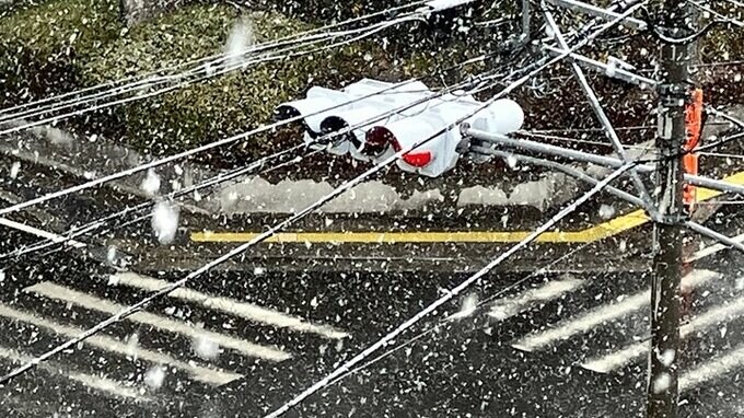 昼過ぎからあす朝にかけ警報級の大雪のおそれ　山梨|TBS NEWS DIG