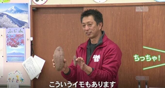 加賀野菜「五郎島金時」地産地消を 生産者が小学校で出前授業　|　石川県のニュース｜MRO北陸放送