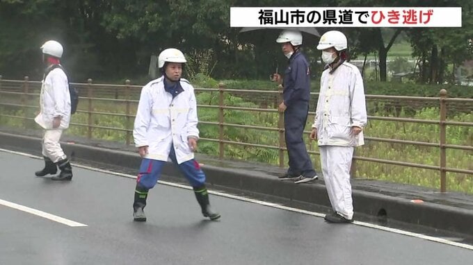 「動物だと思っていた」高齢女性がはねら重体　車はそのまま逃走　ひき逃げの疑いで会社員の男(30)を逮捕　警察に出頭　広島　|　RCC NEWS | 広島ニュース | RCC中国放送