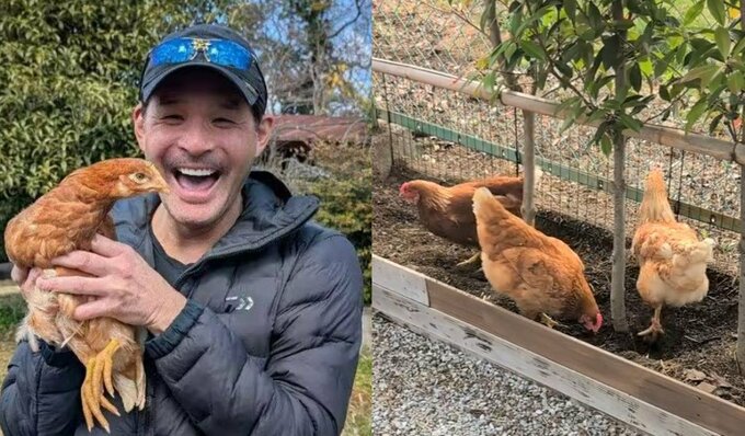 【 照英 】　家族の「にわとり」　「耕し続ける三姉妹！」　ＳＮＳに最新動画アップ|TBS NEWS DIG