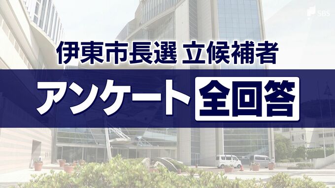立候補者アンケート全掲載 争点、メガソーラー事業、図書館計画について 過去最多立候補の9人の考えは【伊東市長選】|TBS NEWS DIG