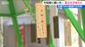 「元気に明るく育ちますように」“竹の短冊”に願いごと『田上七夕めぐり』放置竹林の整備竹を活用　新潟・田上町　|　新潟のニュース・天気｜BSN NEWS｜BSN新潟放送