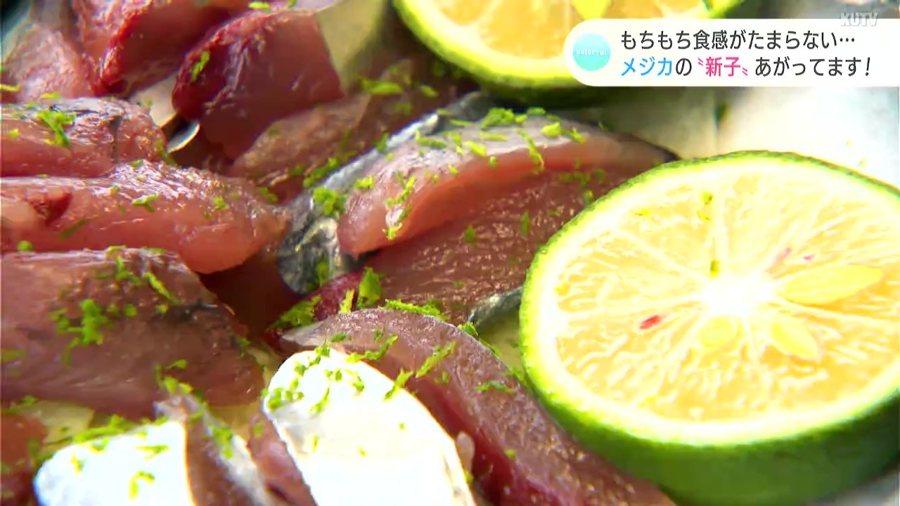もちもち食感がたまらない 高知の夏の味覚 メジカの新子 あがってます Tbs News Dig 1ページ