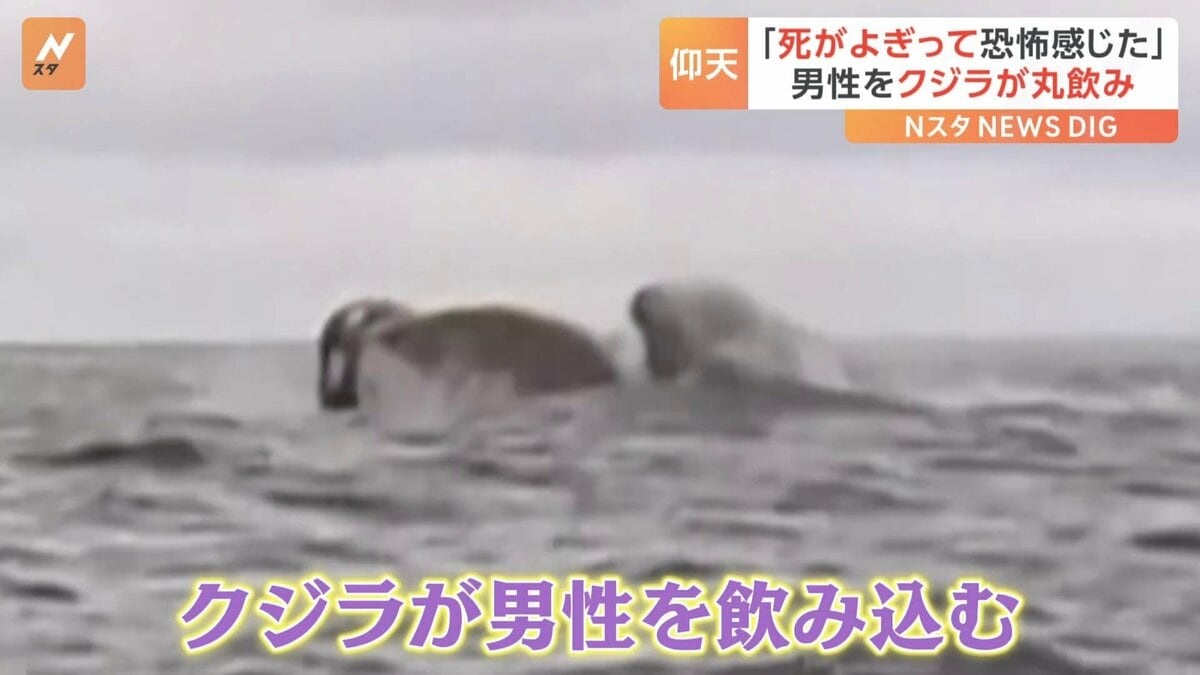 img_c6472839c3cd83d752d0df7db4