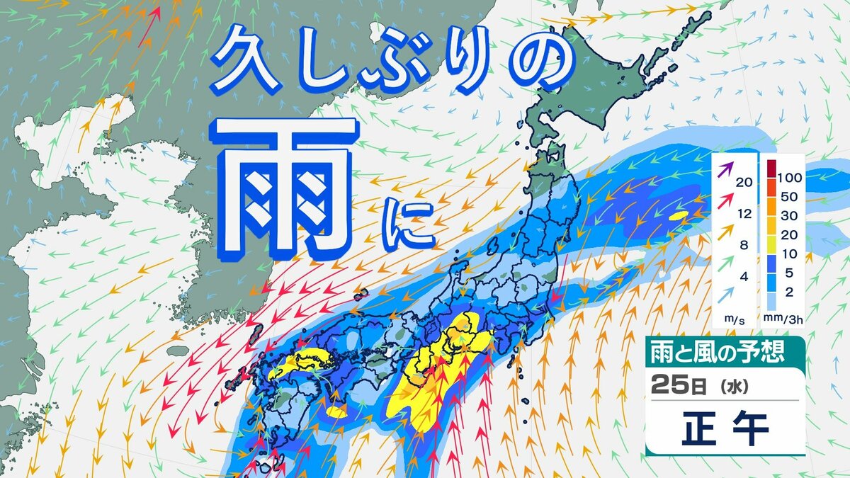 各地“春一番”で気温上昇、今後は前線接近で雨の予報…恵みの雨となるか？【雨風シミュレーション】