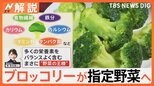 “野菜の王様”ブロッコリーが約50年ぶり「指定野菜」の仲間入りへ 健康志向で需要増?でも食べすぎに注意【Nスタ解説】|TBS NEWS DIG