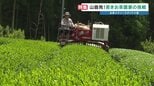 地域のお茶農家が8割減少　200戸が15年で37戸に…4代目が挑む"歴史あるお茶文化を未来へ"　熊本・山鹿市　|　熊本のニュース｜RKK NEWS｜RKK熊本放送