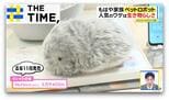 高額でもナゼ人気?「ペットロボット」…生き物のような“もふもふ”にメロメロ【THE TIME,】 |TBS NEWS DIG