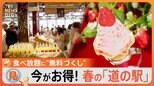 100種類超え!限定いちごスイーツに…焼き立てパンが“無料”!?行くなら今!進化が止まらない道の駅!|TBS NEWS DIG