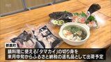 幻の高級魚「タマカイ」　陸上養殖に成功した都農町が量産化目指す取り組みを知事に報告|TBS NEWS DIG