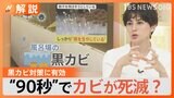 “カビ研究20年”の専門家に聞く 梅雨のカビ対策ポイントは?あの“一手間”でカビが発生しにくい状態に【Nスタ解説】|TBS NEWS DIG