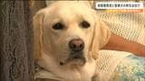 「外に出ることがすごく増えた」目の不自由な人と“バディ”盲導犬が新生活 約7年間の門出を祝う 仙台|TBS NEWS DIG