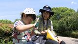 「子育て中のお父さん、お母さんの力に」…“ファミサポ” 預かる人が足りない!静岡の現状 | 静岡のニュース | SBSNEWS | 静岡放送